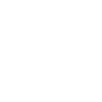 Adidas shipping container