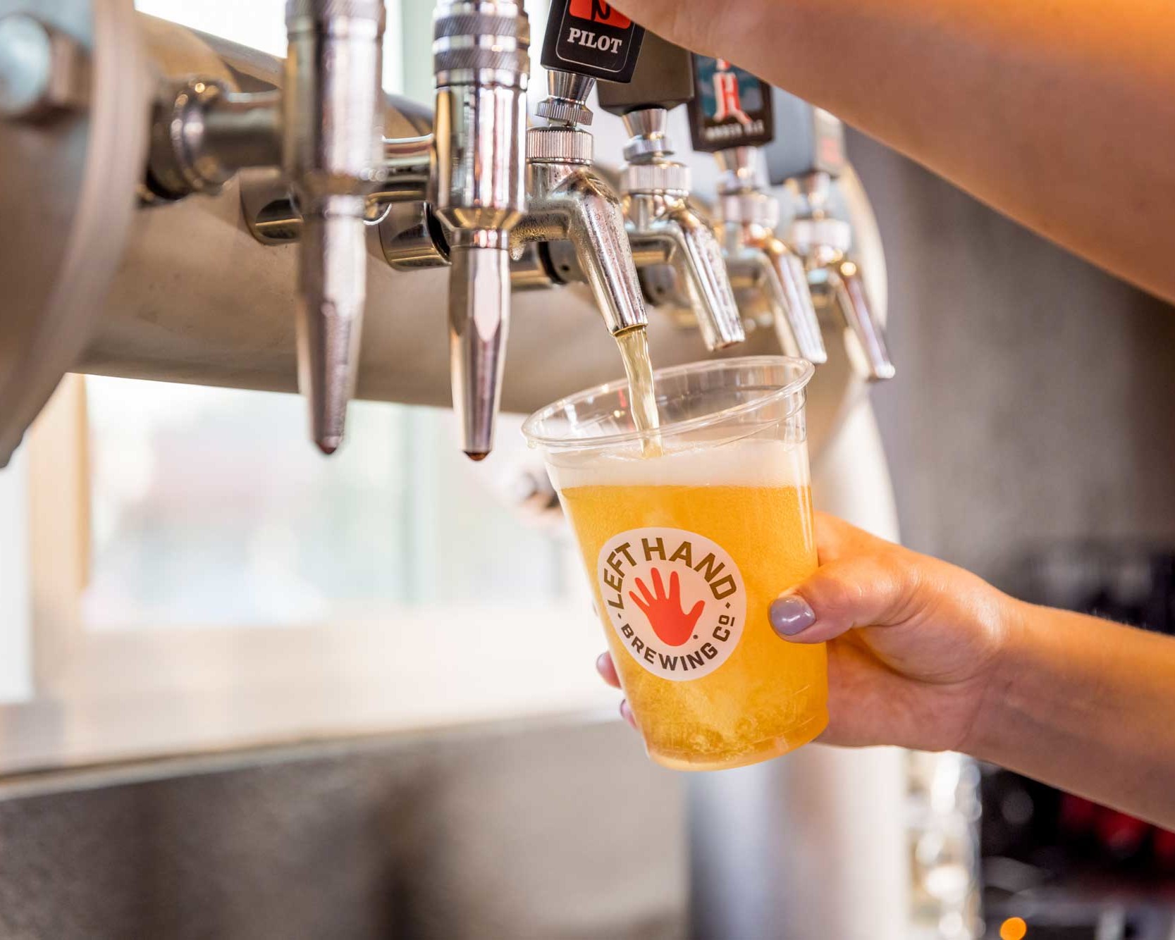 Left Hand Brewing Company custom shipping container bar built by ROXBOX Containers.